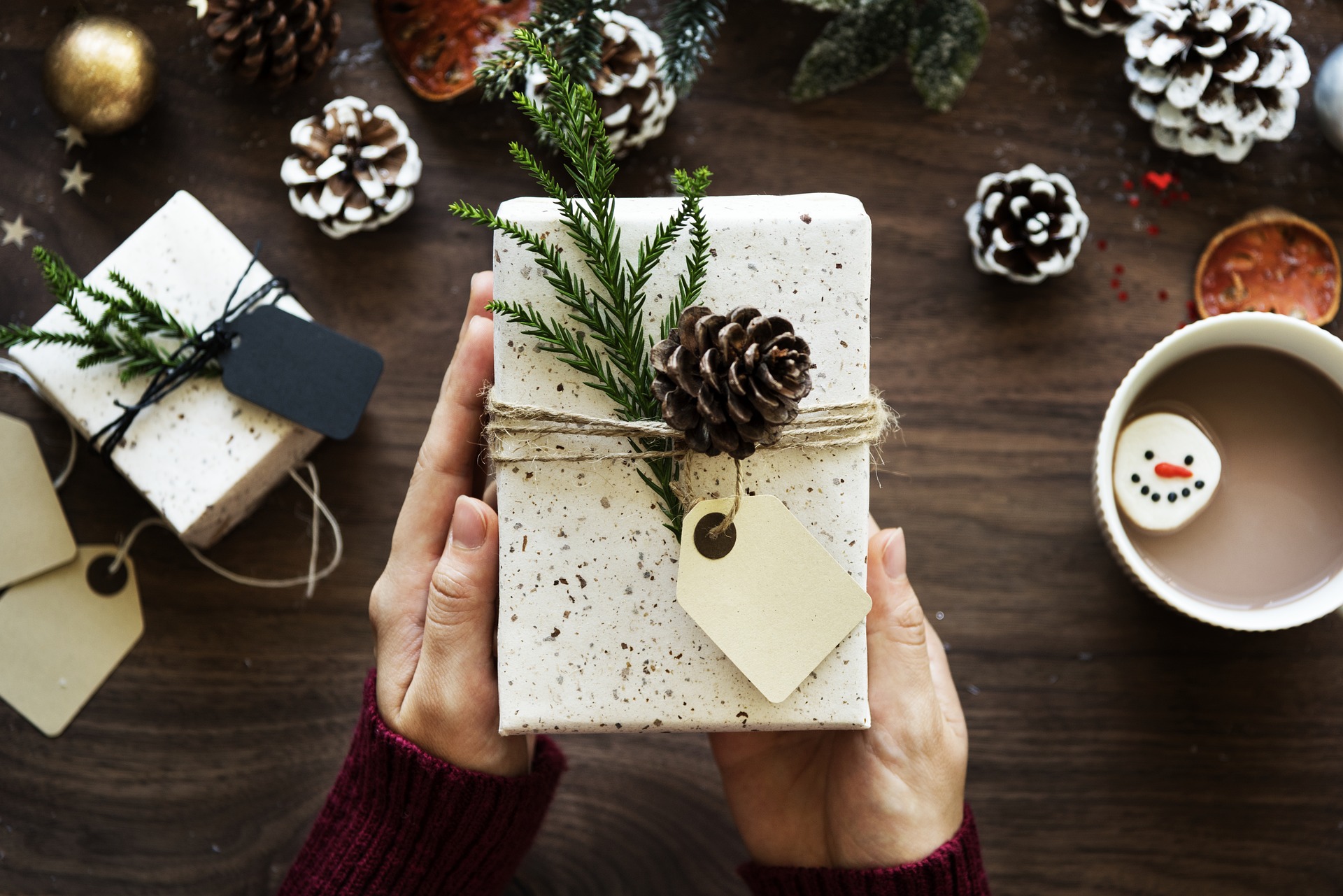 Accessoires GOPRO utiles pour TOUT LE MONDE / Idées cadeaux de Noël 